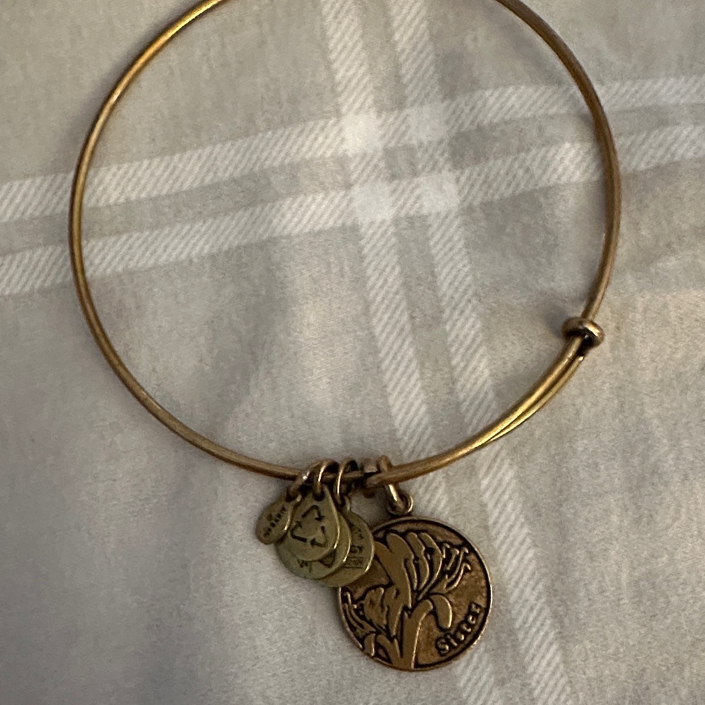 Alex and Ani Gold Bracelet with Charms
